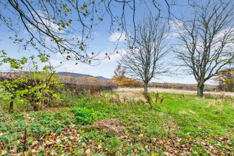 CAM04201G0-PR0117-STILL026