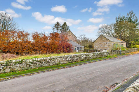 CAM04201G0-PR0117-STILL001