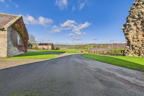 CAM04201G0-PR0114-STILL001