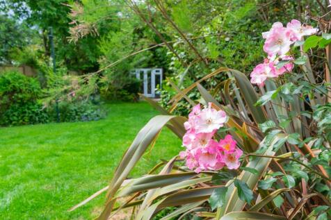 Property Image 31