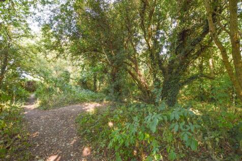 Nature Reserve.jpg