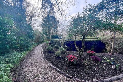 garden 7.jpg
