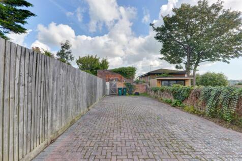 282 Ditchling Road Garden (2)