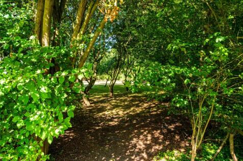 Grounds