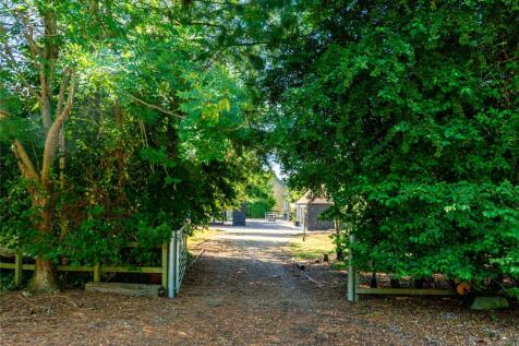 Grounds