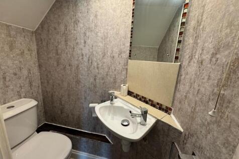 DS Toilet.jpg