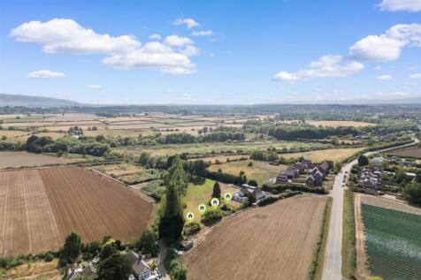 DJI_0565.jpg