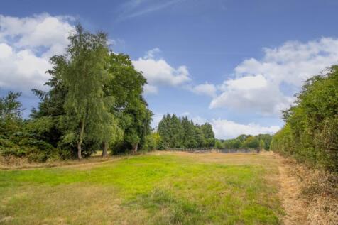 Property Image 62