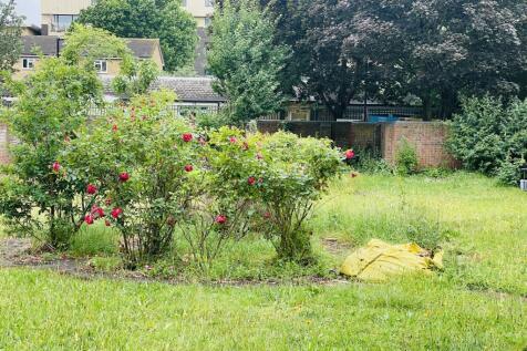 Communal Garden