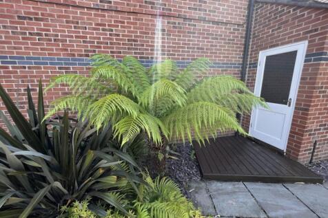 Garden &amp; Garage Door