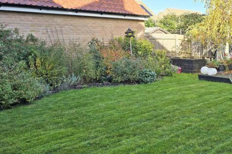 Garden 3.jpg