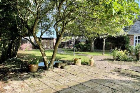 garden 2.jpg