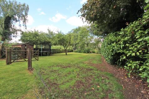 Further Garden.JPG