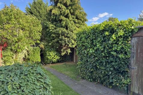 Garden 3.jpg