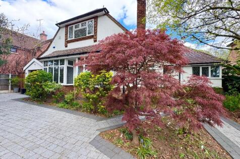 Property Image 42