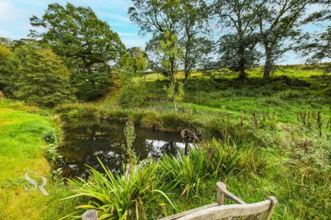 Property Image 74