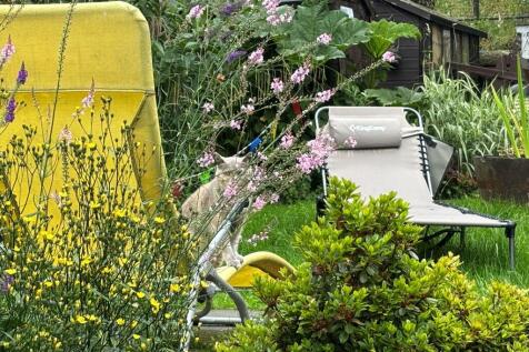 Property Image 37