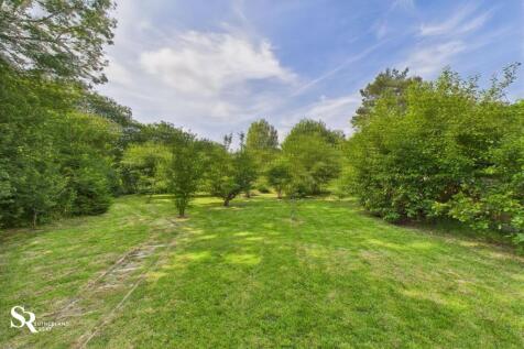 Property Image 43