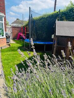 Mill Lane Garden_4.jpeg
