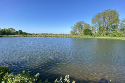 NEARBY LAKE VIEW