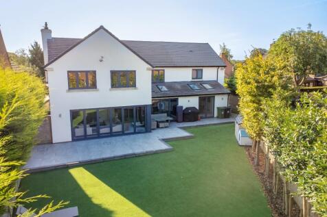Property Image 42