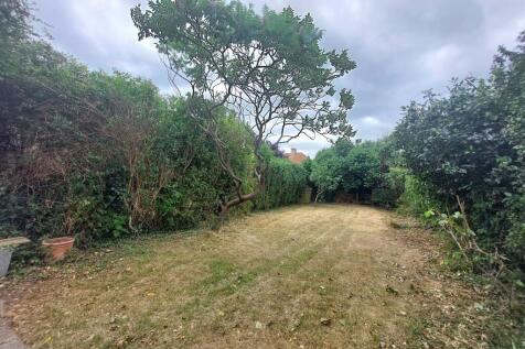 Back Garden