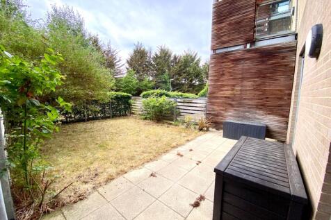 Back Garden