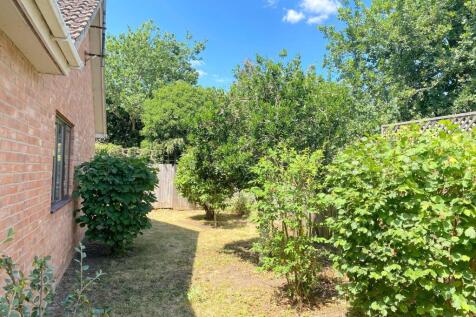 Back Garden