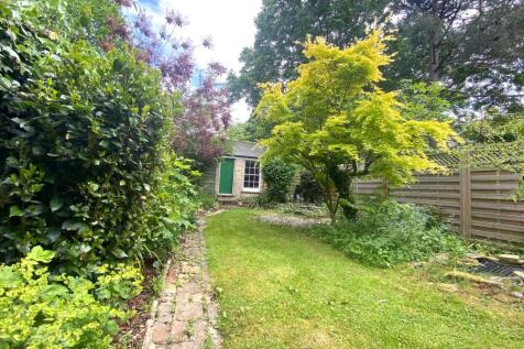 Back Garden