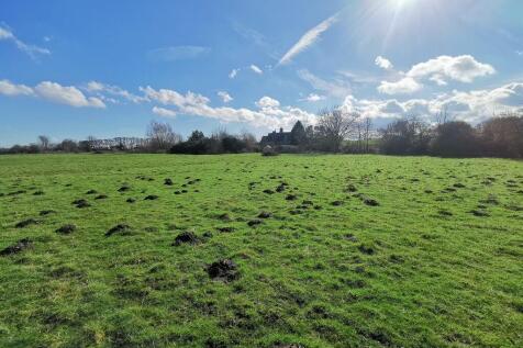 Grazing Meadows