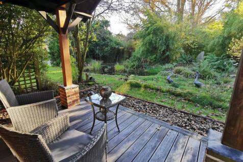 Pond from canopy ...