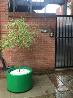 Property Image 6