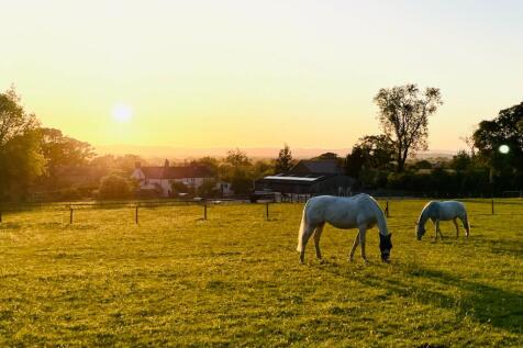 Paddocks