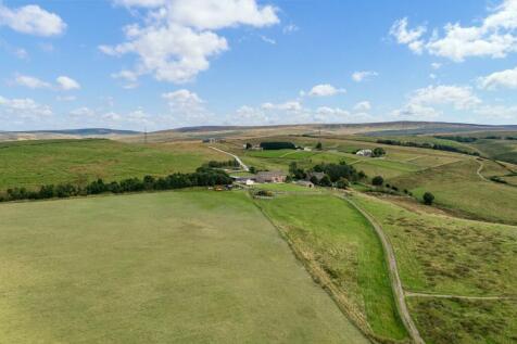 DJI_0636.jpg