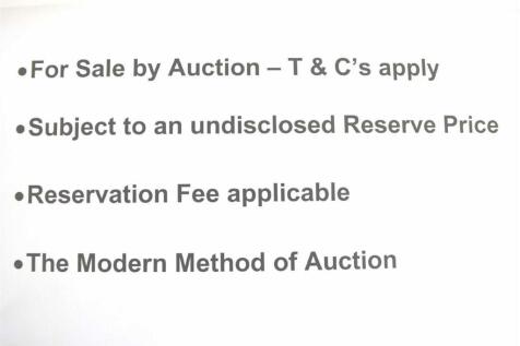 AUCTION PICTURE (2).jpg