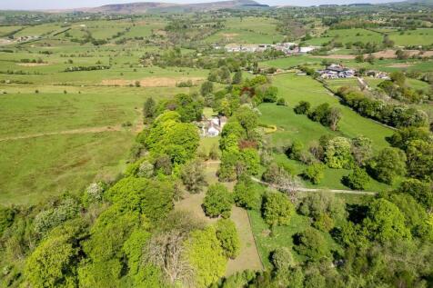 DJI_0398.jpg