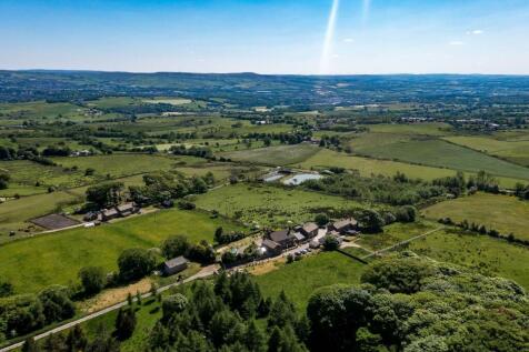 DJI_0877.jpg