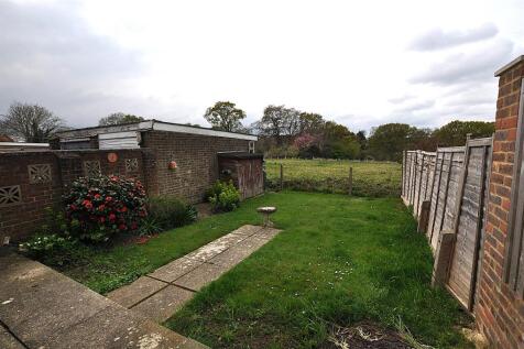 Garden 2.JPG