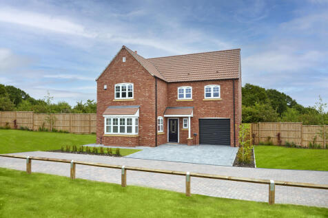 The Haxby