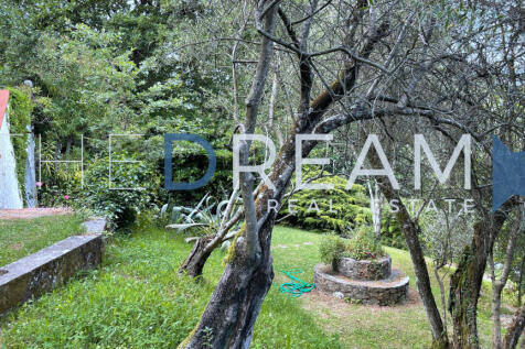 231_Villa_Ewald_TheD