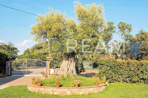 Podere_Bella_Vista-5