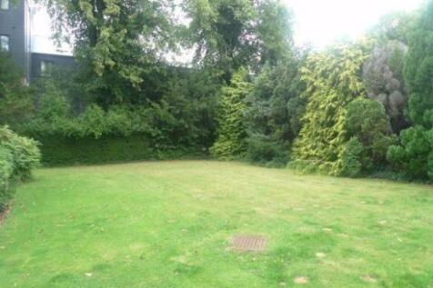 garden 1