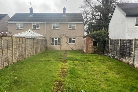 Back garden