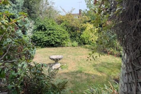 garden 6