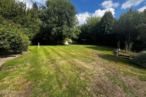 garden3