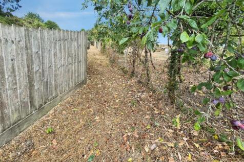 Path To Rear