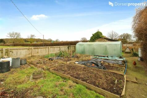 Vegetable Area