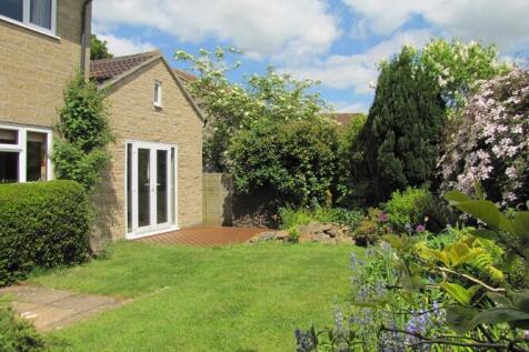 P1688backgarden.JPG