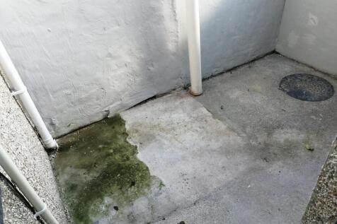 Rear Yard