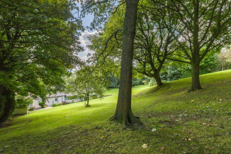 Property Image 57